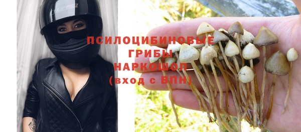 ешки Каменногорск