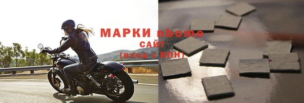 индика Карпинск