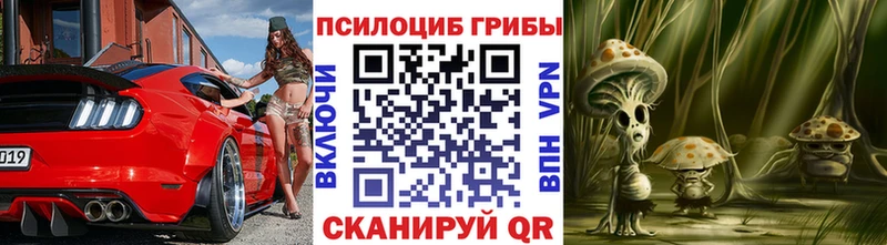 Галлюциногенные грибы мицелий  купить наркотик  Домодедово 