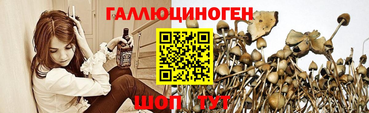 Галлюциногенные грибы MAGIC MUSHROOMS  Галлюциногенные грибы MAGIC MUSHROOMS  Домодедово  Вход с VPN 