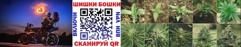 Бошки Шишки индика  Домодедово 